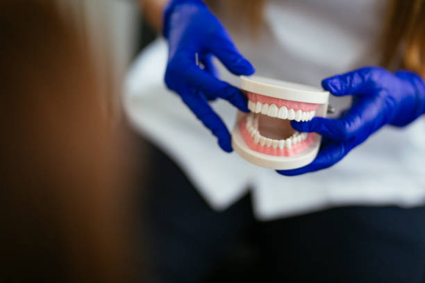 Best General Dentistry  in Osceola, IN